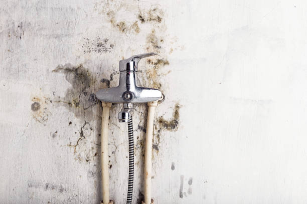 Mold Removal Process in Marionville, MO