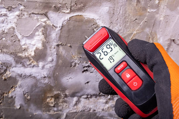 Best Mold Remediation Experts  in Marionville, MO