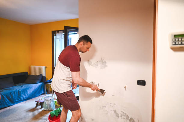 Best Mold Removal Process  in Marionville, MO