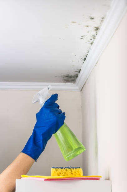 Water Damage Restoration in Marionville, MO